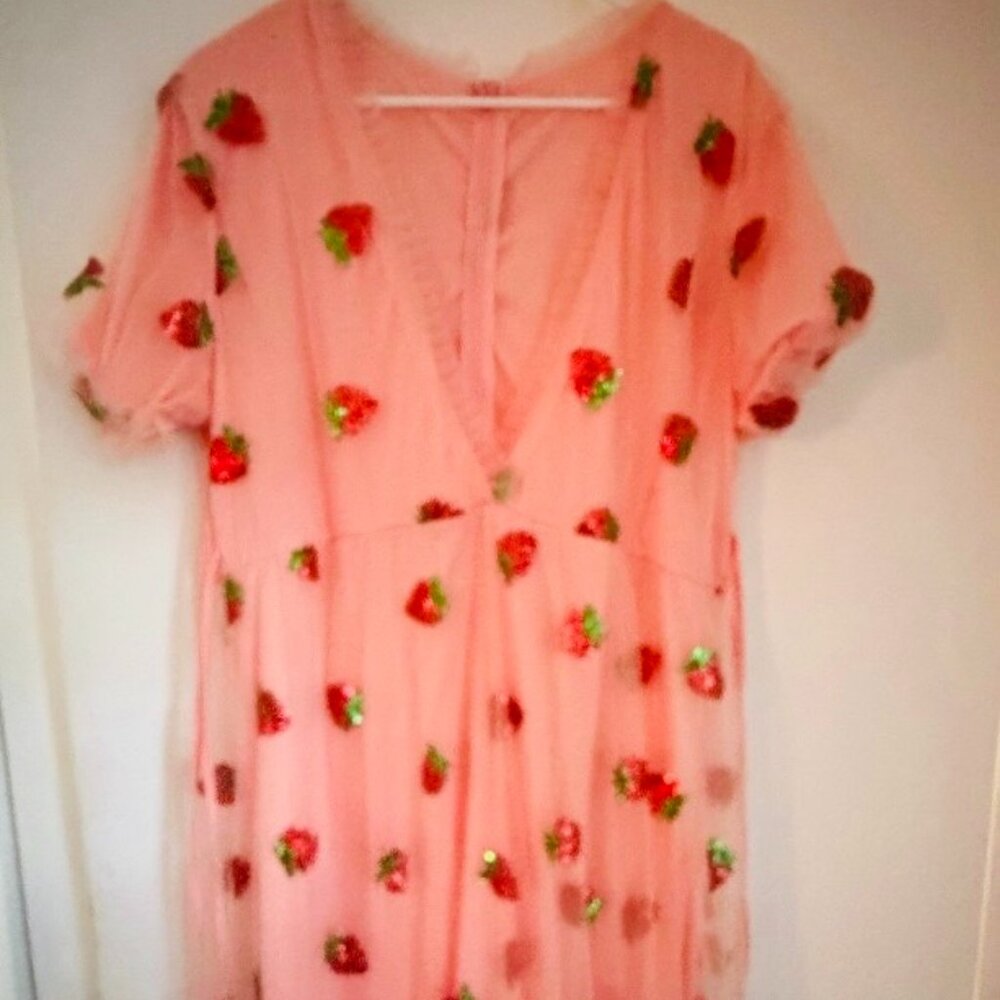 Mesh Lined Strawberry Embroidered Dress Deep V-Neck XXL NWOT